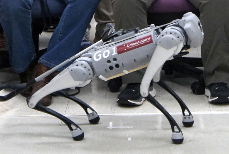 Robotic Guide Dog
