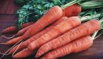 close-up-photography-of-orange-carrots-1306559.jpg