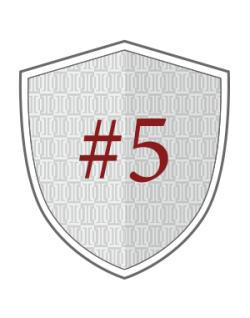 Badge 5